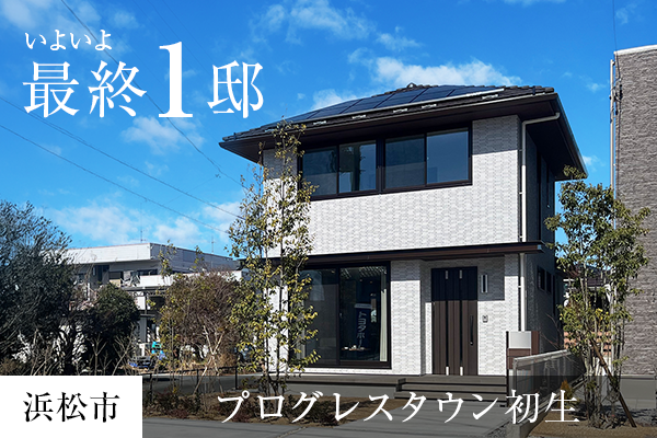 hatsuoi